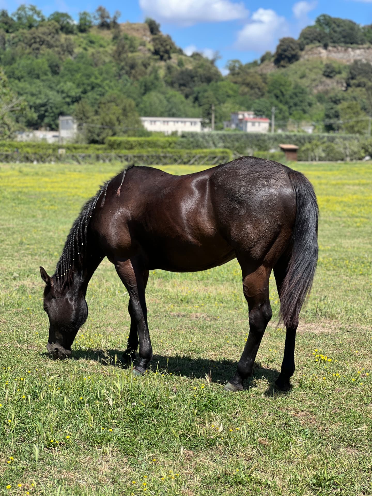 La Stalla della Masseria 5