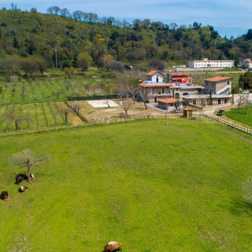 DJI_0009